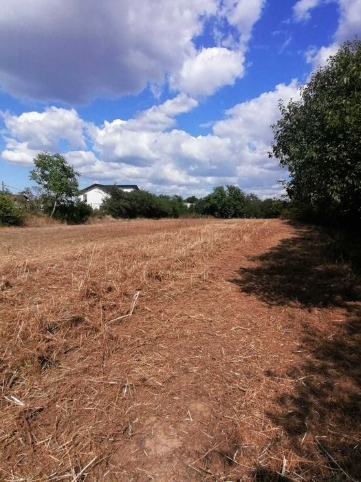 Oprtunitate Teren intravilan Racovita cu toate utilitatile