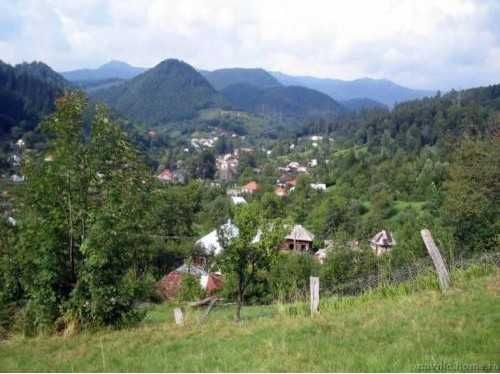 Teren in Cavnic | Ideal pensiune | Zona linistita langa padure