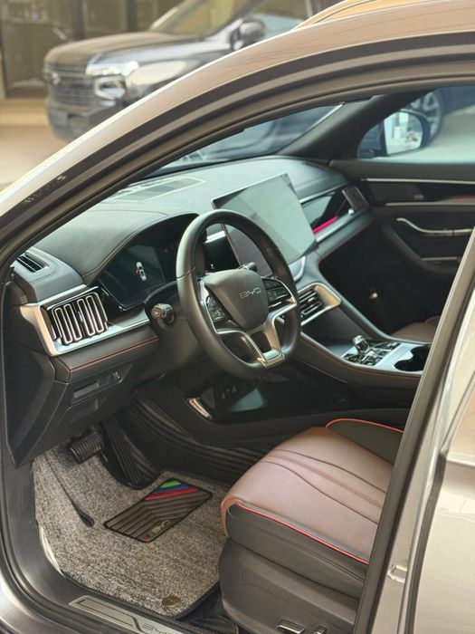 Byd chapion gibrit 150km 2024