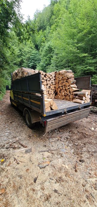 Lemne uscate pentru foc