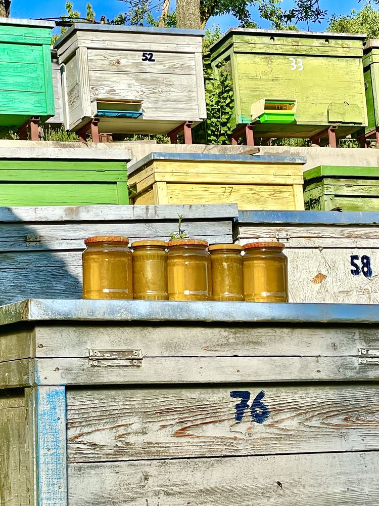Vând miere de salcâm,tei,polifloră şi miere cu polen