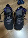 Nike LeBron purple