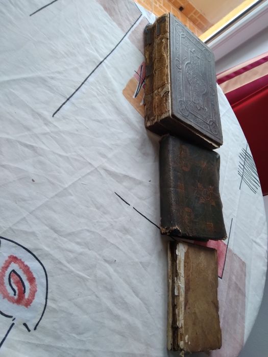 Biblie an Limba Maghiara