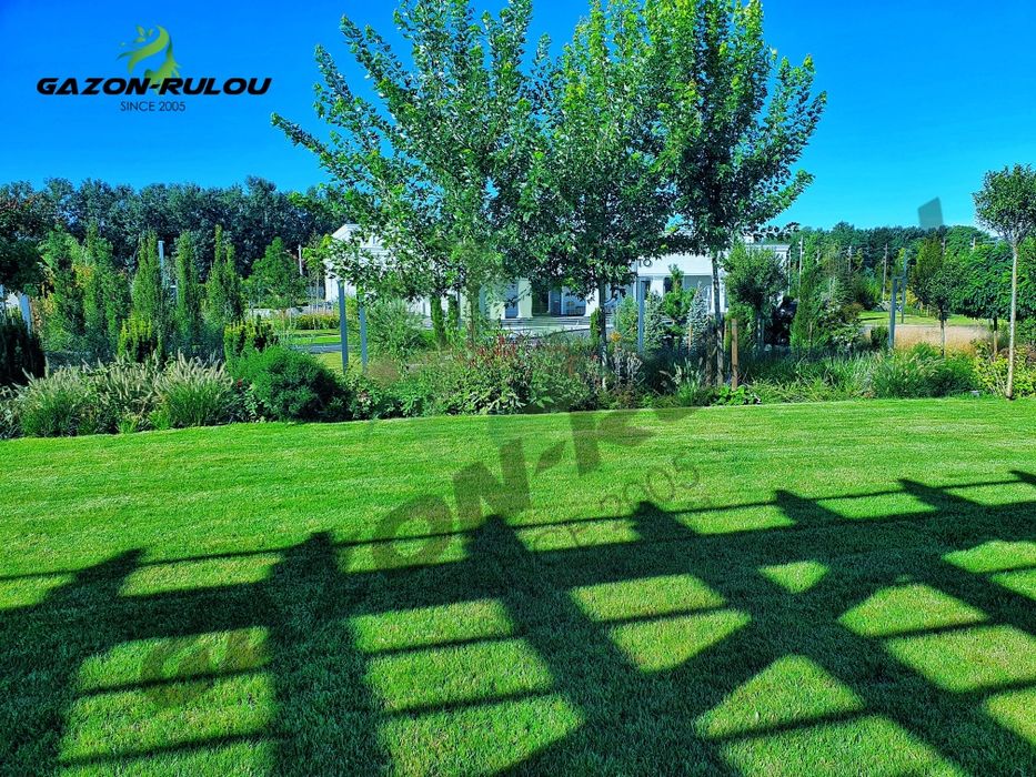 Gazon Natural Rulou