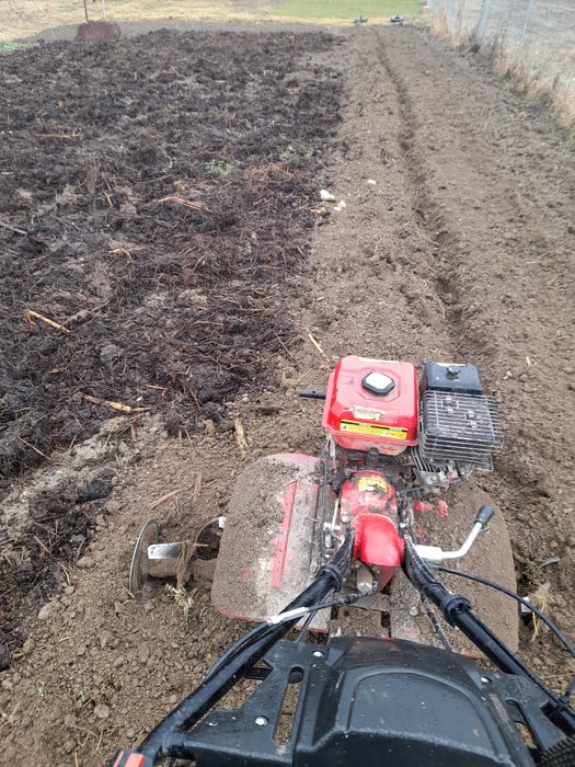 Sap gradini cu motocultor