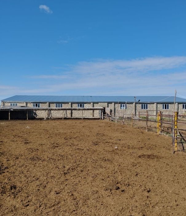 Продам Крестьянское хозяйство