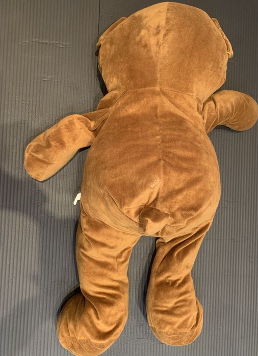 Ursulet de plus gigant