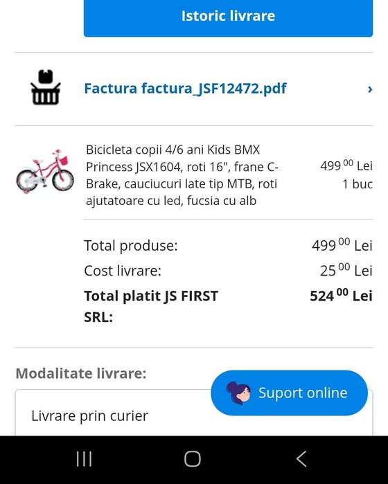 Bicicletă copii Rich Baby 4/6 ani Kids BMX Princess JSX1604 roti 16"