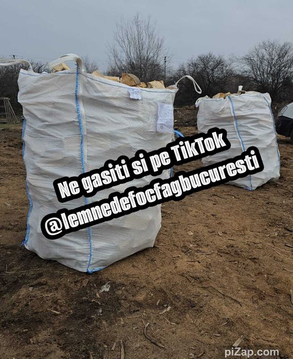 Lemne de foc fag vrac sau ambalate , gata taiate de foc .