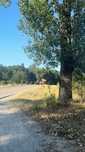 Teren 6.500 mp intravilan | Baia de Fier