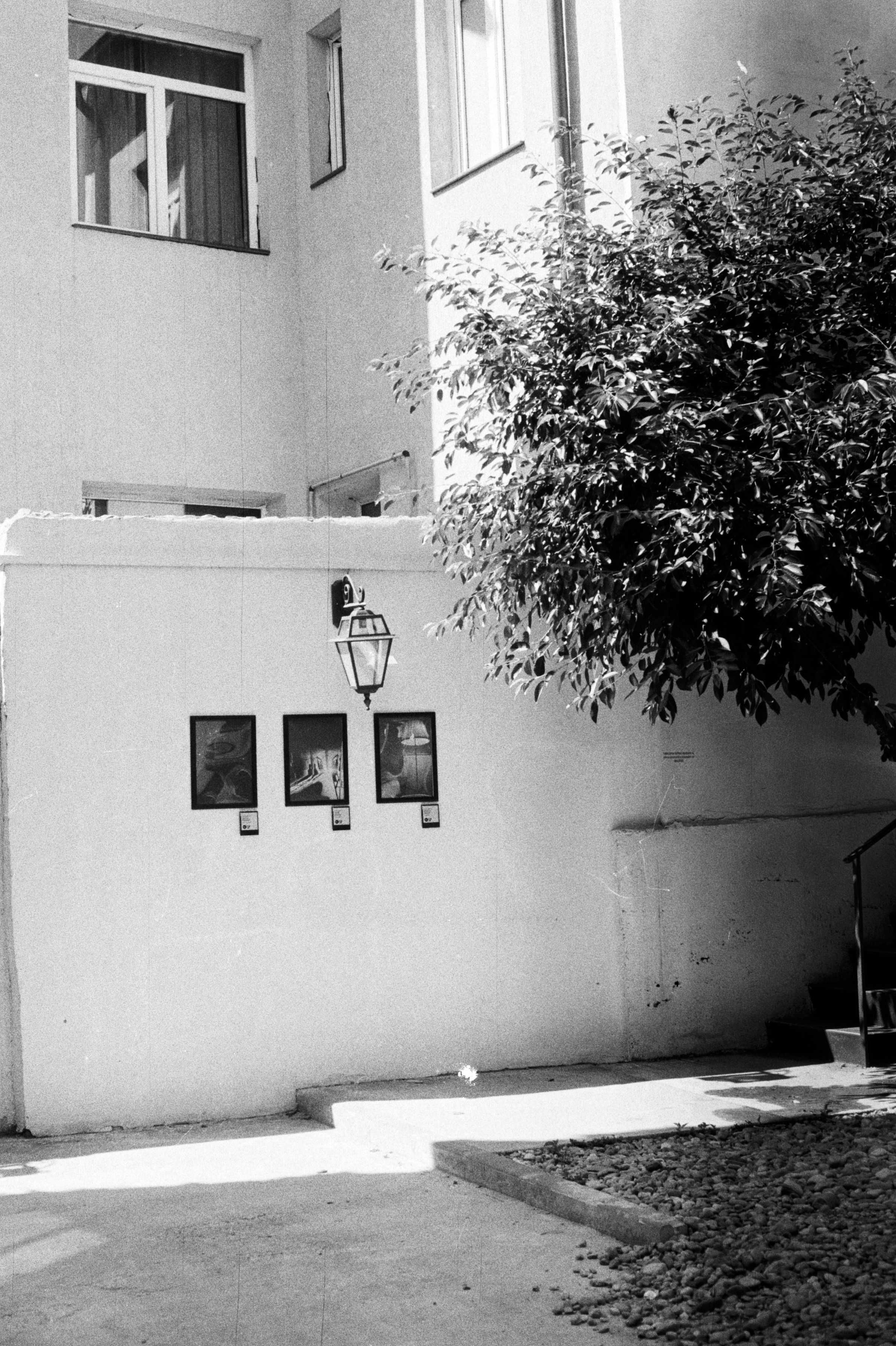 Yashica Electro 35 GSN servisat - Aparat foto analog cu film 35mm