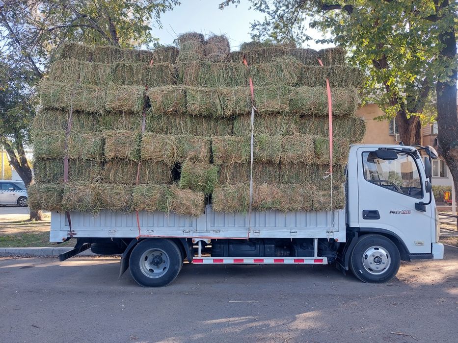 Тюковое Люцерно Жонышқа