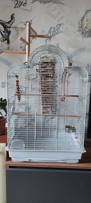 Клетка для попугая.
