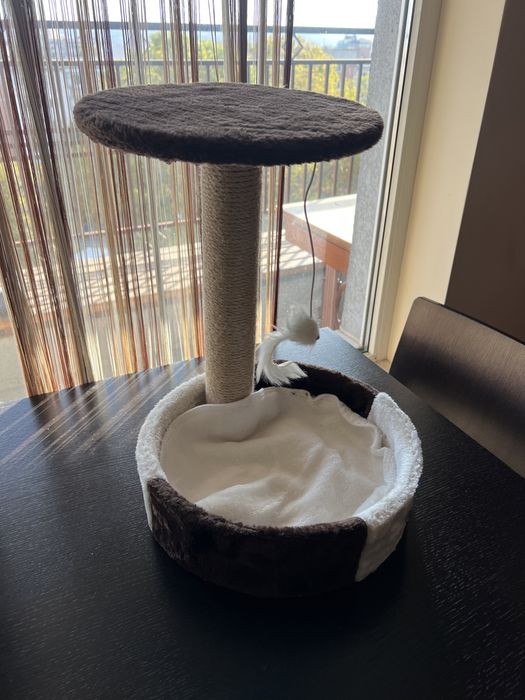 Котешка драскалка