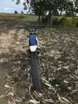 Vand cross 250cc 5 trepte