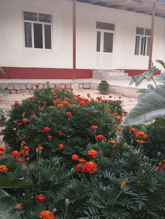 2хона,1,6 сотх, 26,000,Рохатдан 10 км