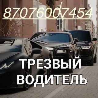 Трезвый водитель