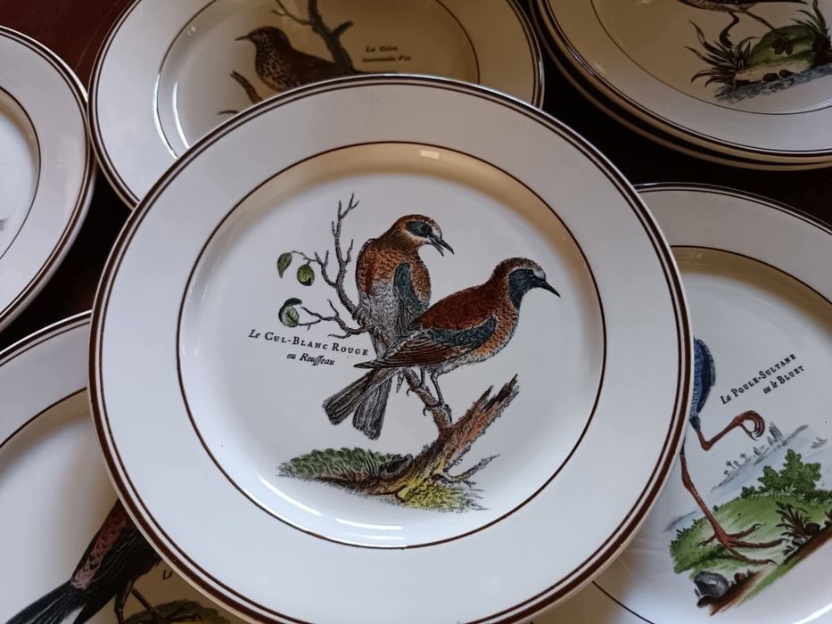 VILLEROY & BOCH Paradiso
Цена за всичко 135 лв. (69 €)
8 бр чинии (21с