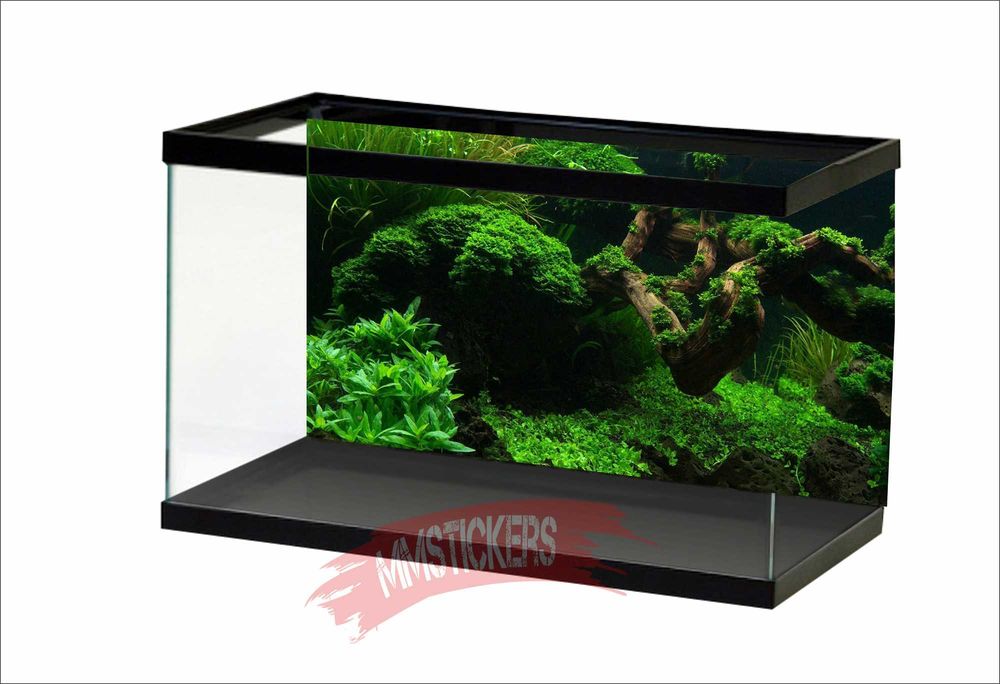 Фон за аквариум Изработка на фонове за аквариум