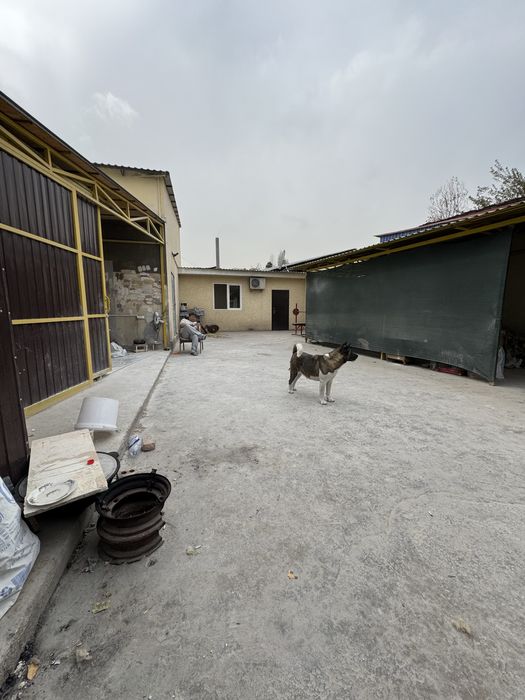 СРОЧНО! Продается помещение под любой вид деятельности