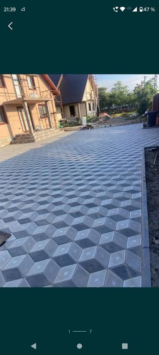 Capace si coame de gard