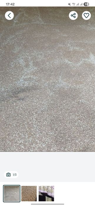 Бидай местный монтай таста тур