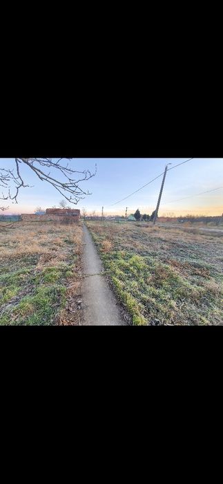 Vând teren intravilan 1.100 mp în Cenad județul Timiș 8 € / mp