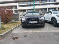 Audi SQ5 an 2015