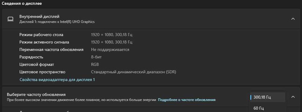 Dell G7 7700 • 17.3" • RTX 2070 • 300Hz • Гейминг лаптоп, отлично