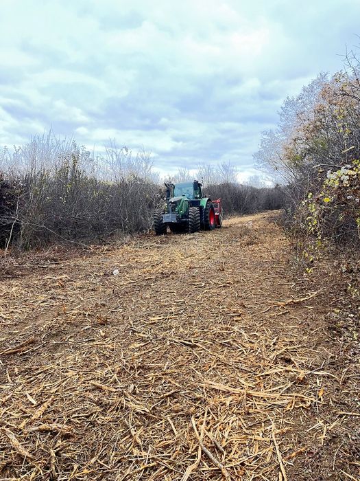 Defrișări și întreținere pășunat