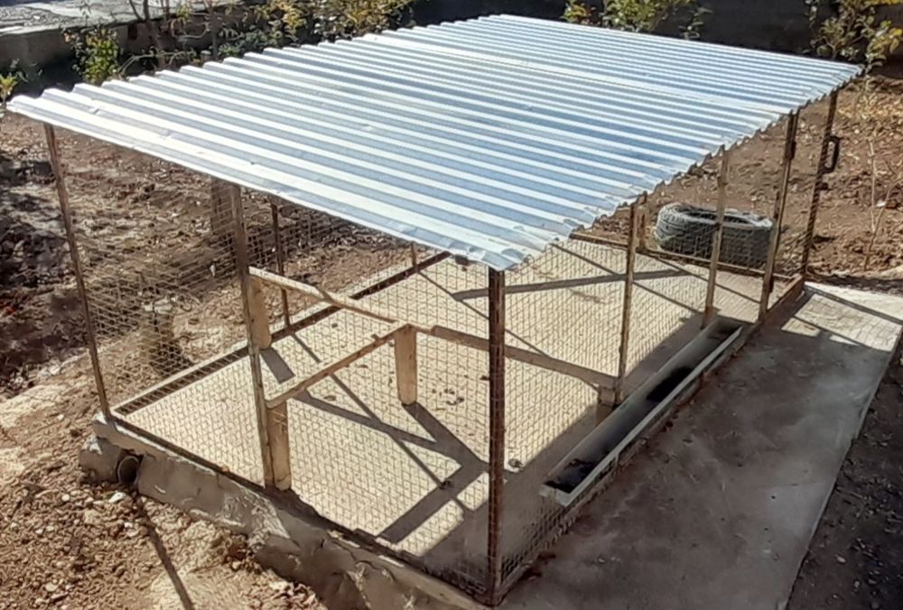 Катак товуклар учун