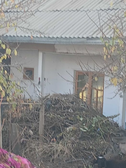 Utin sotiladi Shahrisabz shahrida