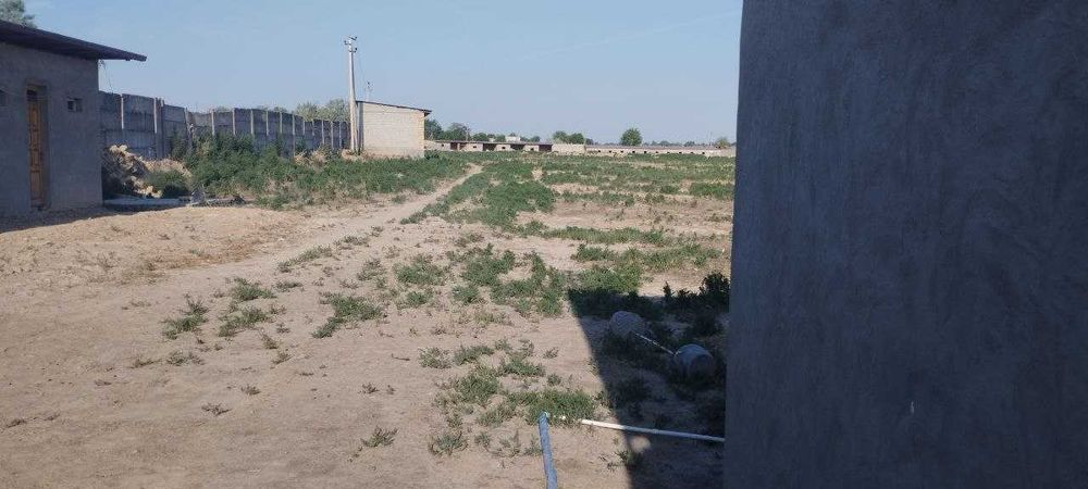 Чорвачилик фермаси сотилади