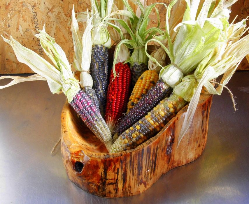 Мексиканска шарена царевица разноцветна - семена 100 броя