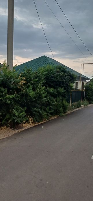 Дом каскеленде Сдам на долги срок из трех комната всё есть дома