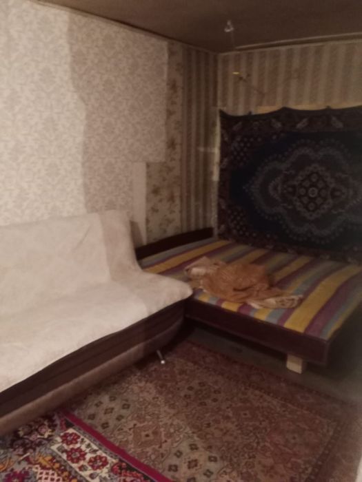 Времянка в с.Красный Яр