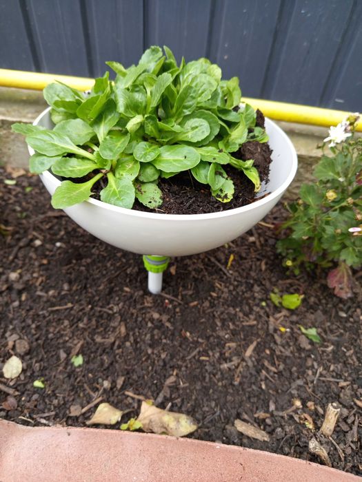 Ghiveci gardena click up