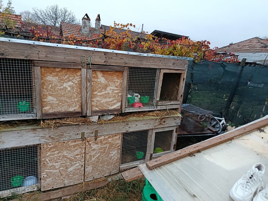 Coteț de iepuri bun și ieftin