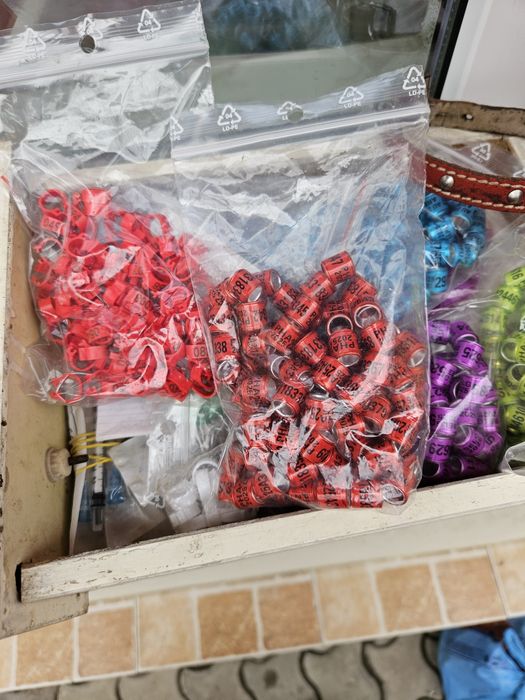 Inele amatori  de 8 mm