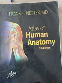 Netter Atlas of Human Anatomy 4th edition