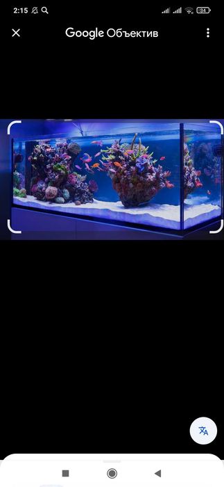 Чистка аквариума