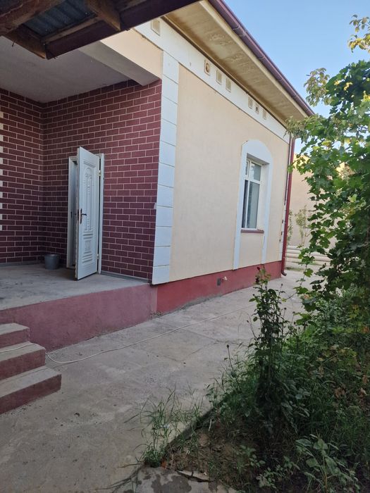 Термез туман кахрамон мфй И Каримов куча