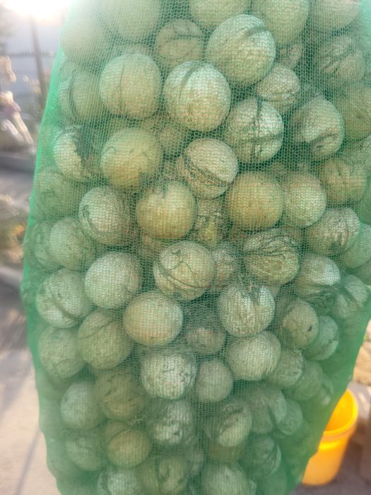 Продам грецкие орехи 1кг 1000 есть 10 кг