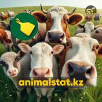 Бирки для животных Костанай КРС МРС идентификация ушные AnimalStat