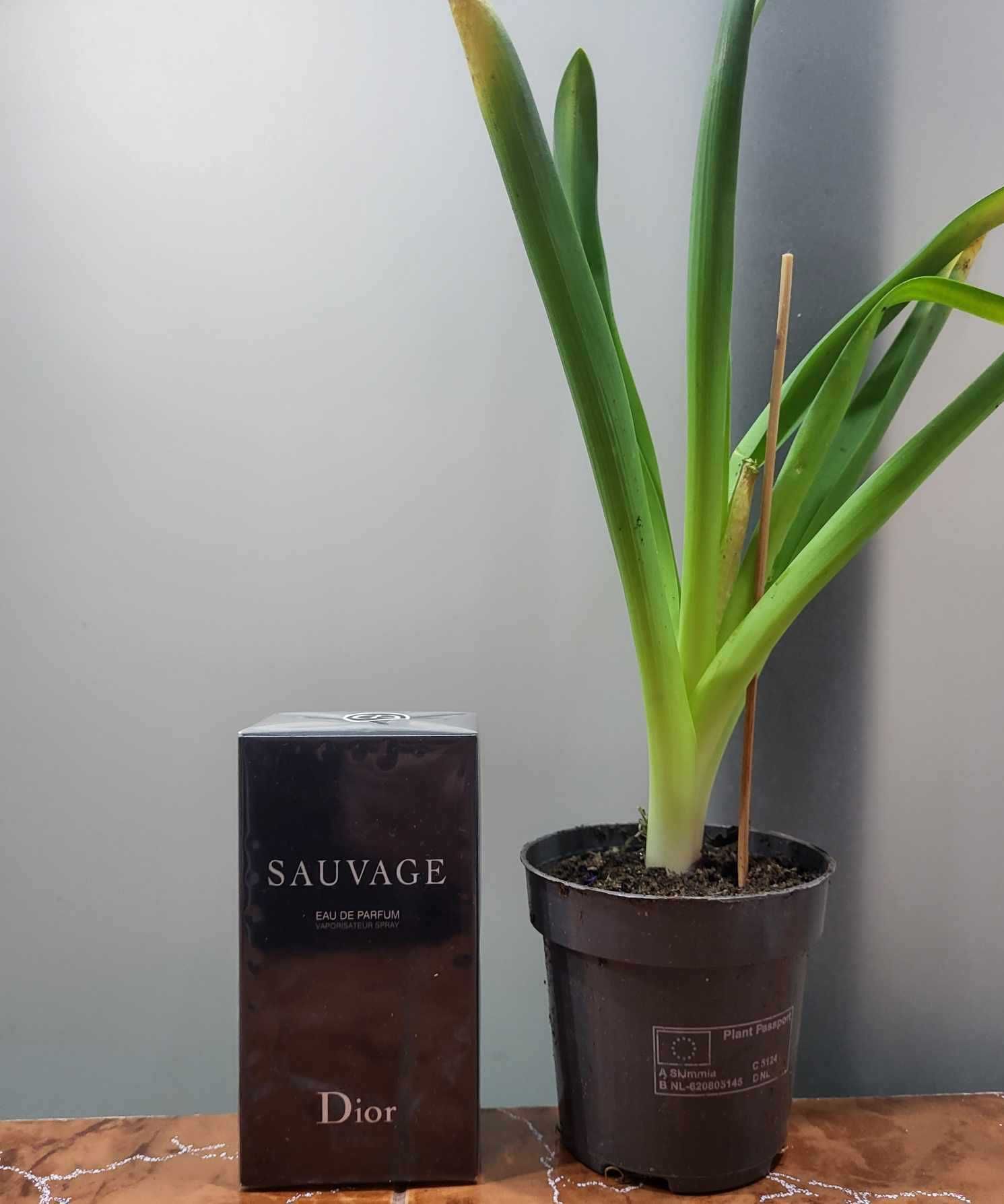 parfum  dior sauvage