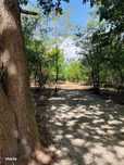 vanzare teren paradisiac aproape de mare pretabil glamping