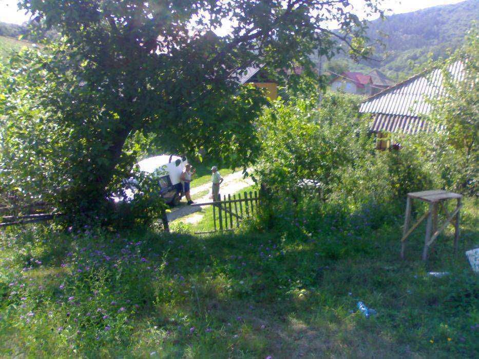 Plantatie de pomi, Autostrada Pitesti-Sibiu la aprox. 8 KM + pamantul