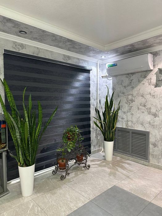 jalyuzi jalyuzi optom narxlarda жалюзи