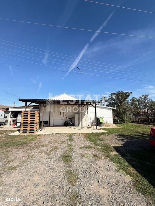 Hala Bucovat pentru productie sau depozitare