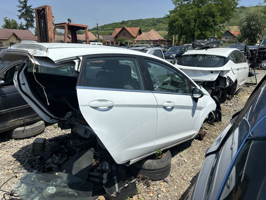 Usa usi Ford Fiesta 2010